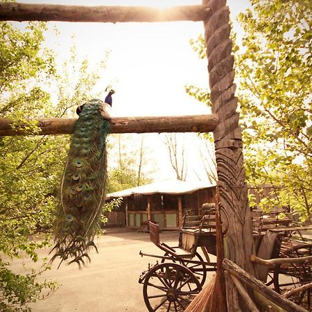 Bamboo Lodge โกรนิงเงน ภายนอก รูปภาพ