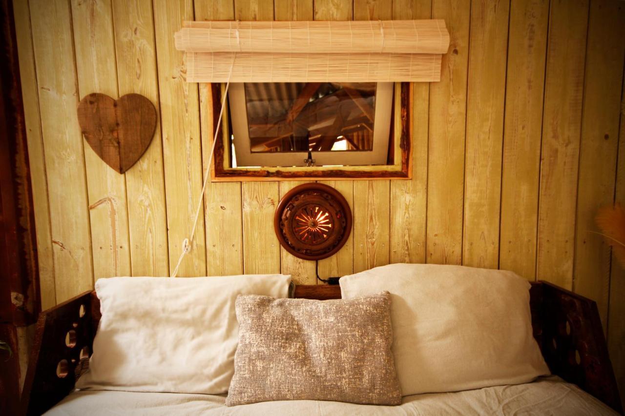Bamboo Lodge โกรนิงเงน ภายนอก รูปภาพ